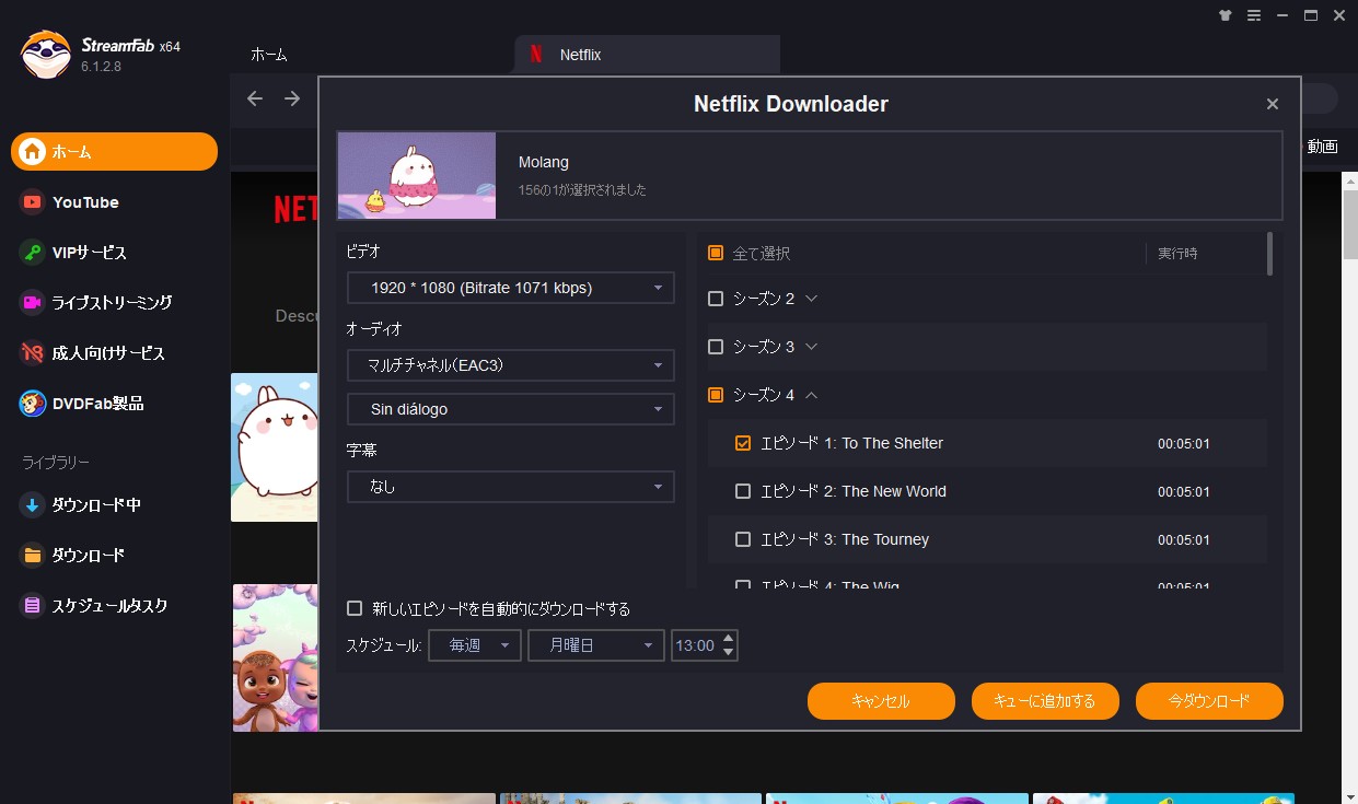 netflix ダウンロード 保存先