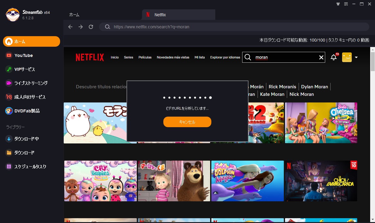 netflix video downloader