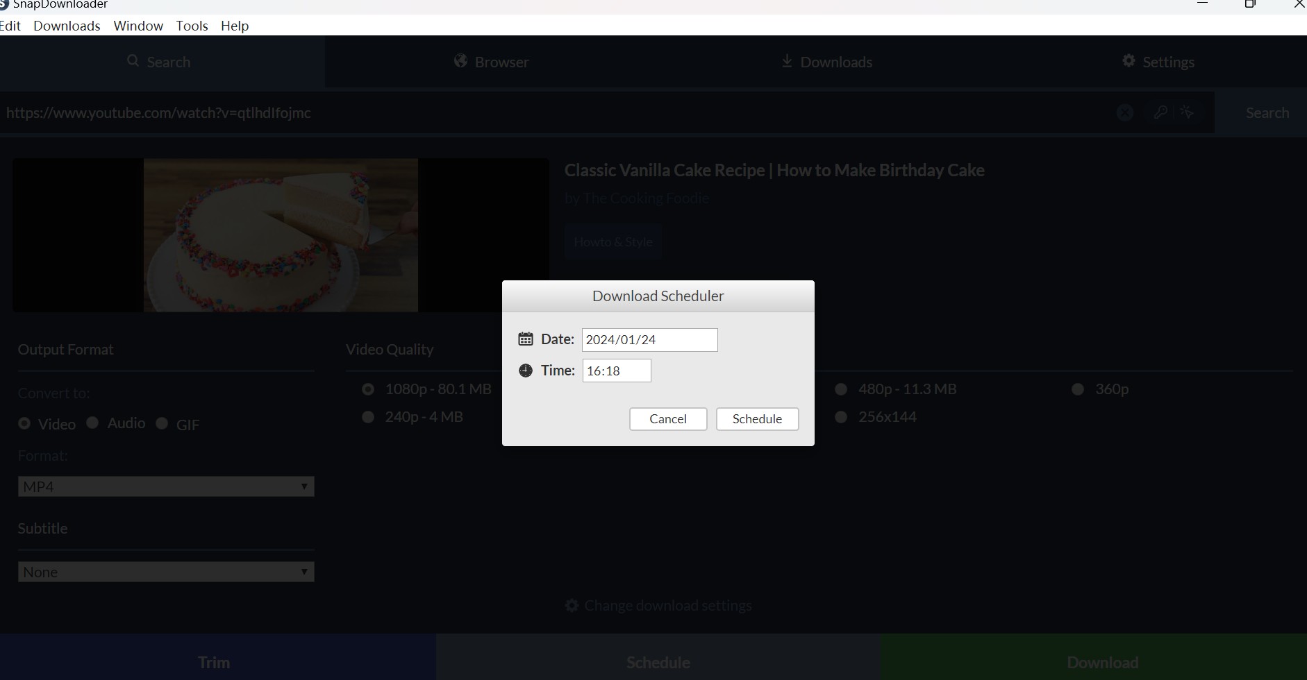 SnapDownloader Review: how to use step 4