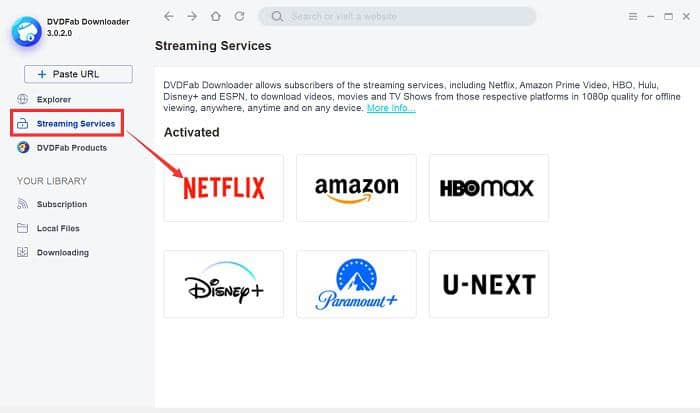 download Netflix French movies with a streaming video downloader