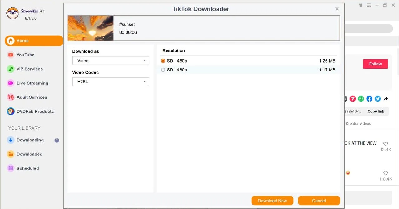 Convertissez TikTok en MP4 avec StreamFab YouTube Downloader