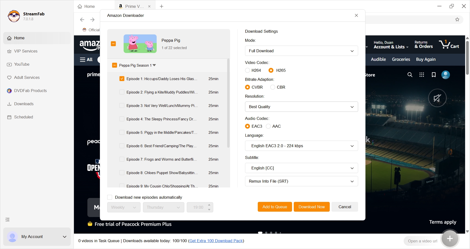 download PBS Kids Shows 2000s: streamfab step 3