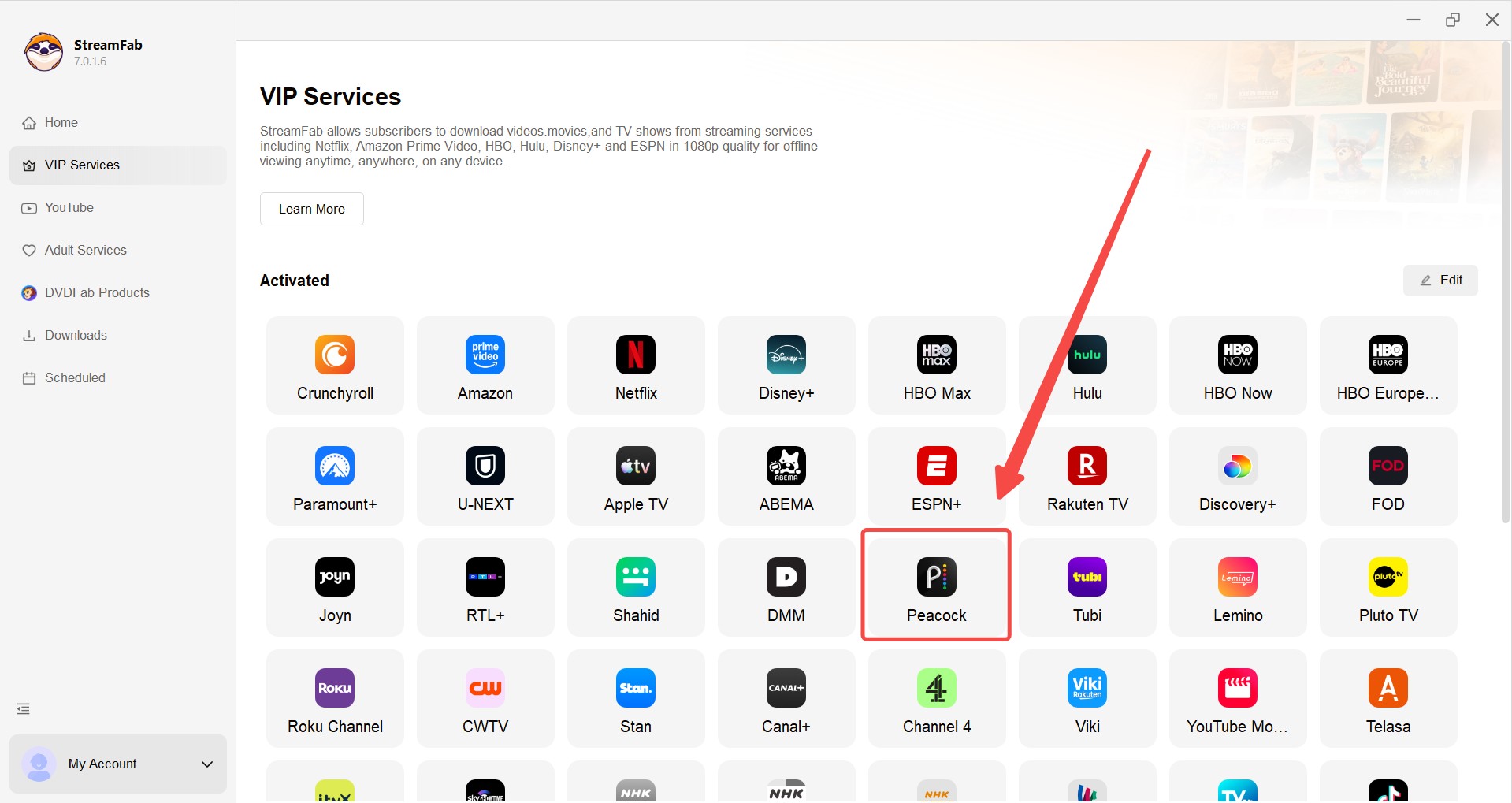 peacock not working:Downloading Steps