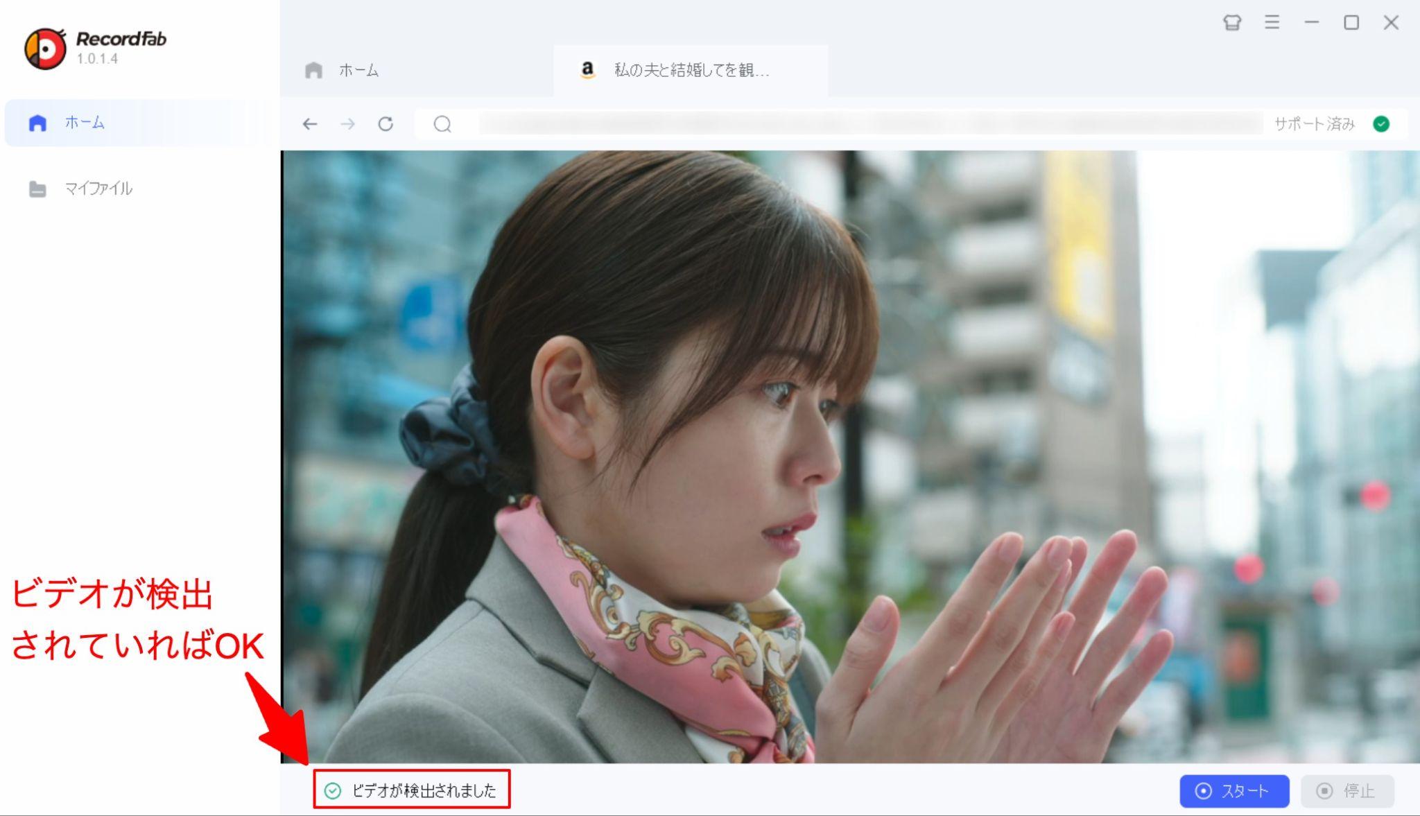 RecordFab 使用方法