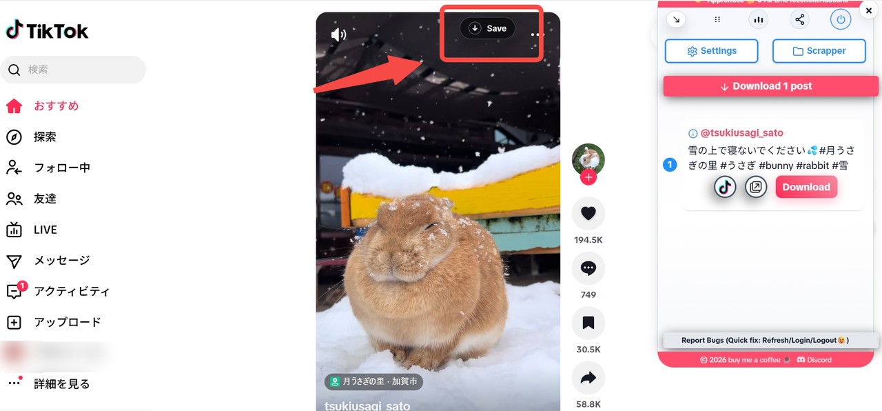 Easy TikTok Video Downloader