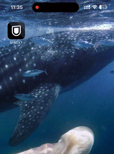 U-NEXT画面録画の失敗例：再生しようとすると真っ黒になる、またはクラッシュする